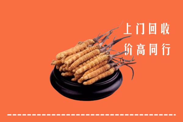 高价求购：崇义县回收散虫草