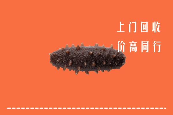 高价求购：崇义县回收海参